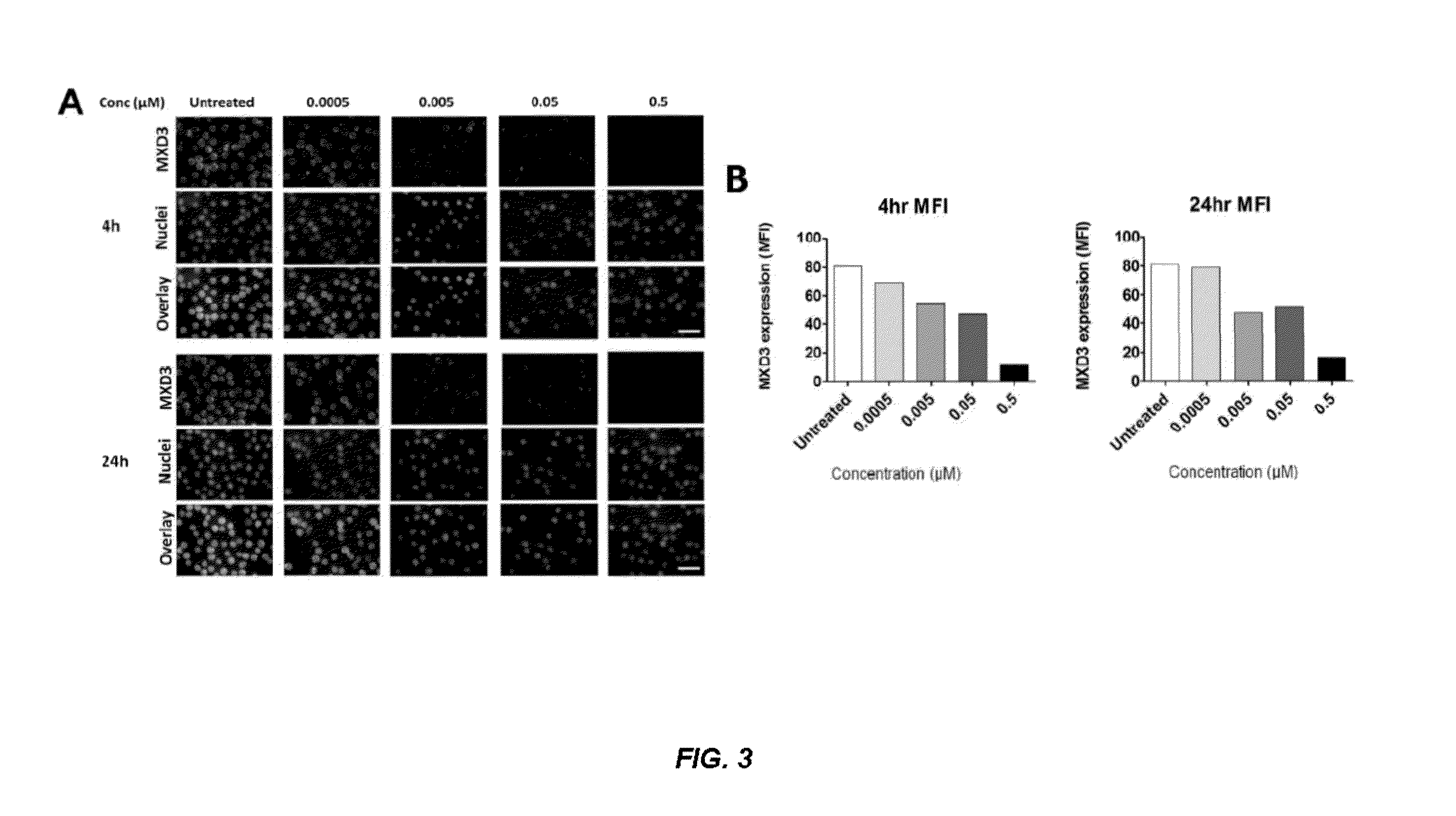 Antisense compounds and uses thereof