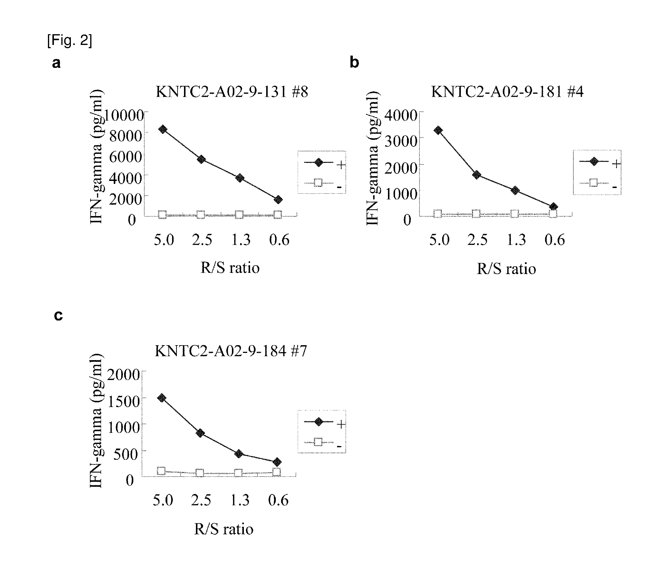 Kntc2 peptides and vaccines containing the same