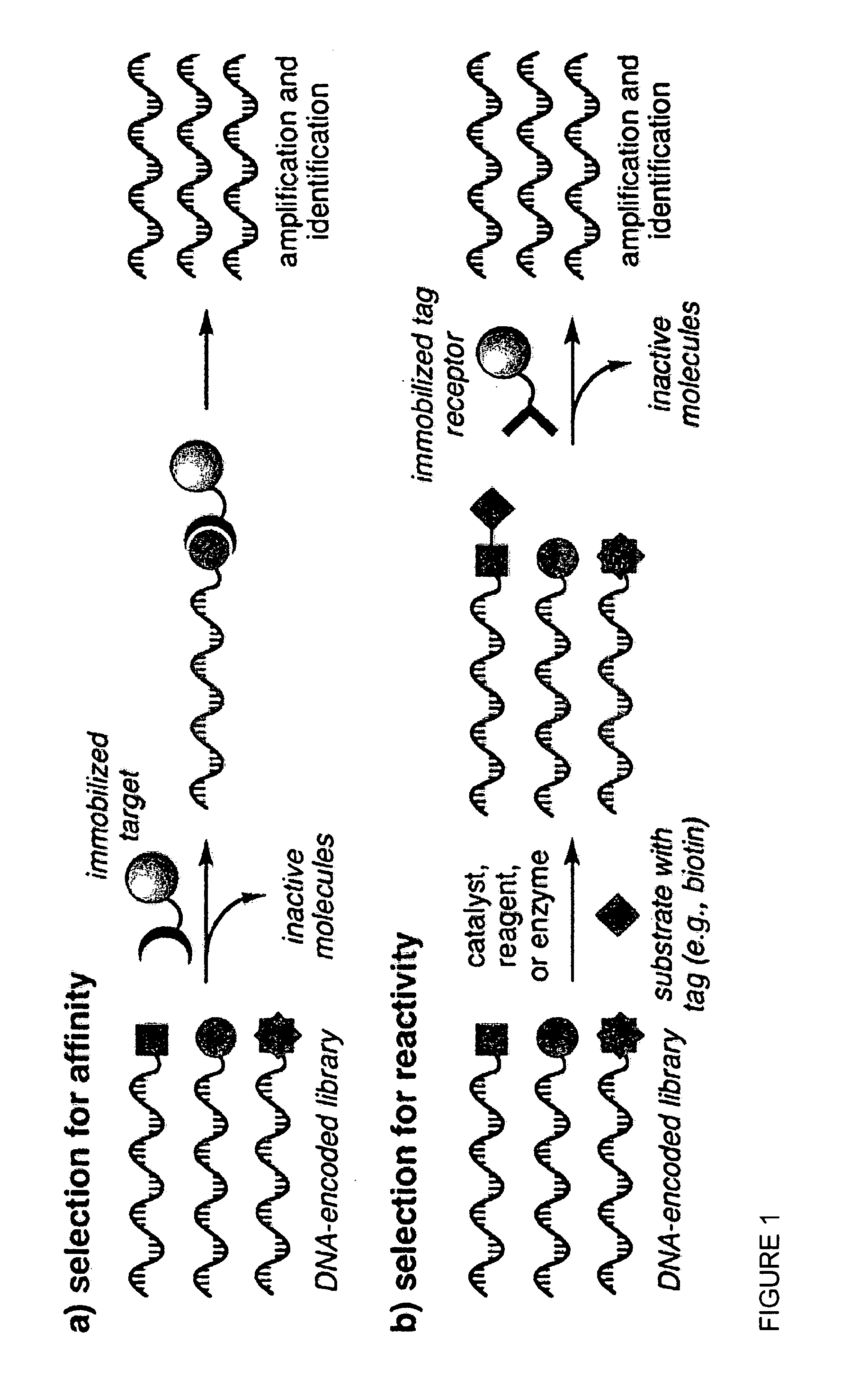 Reactivity-dependent and interaction-dependent PCR