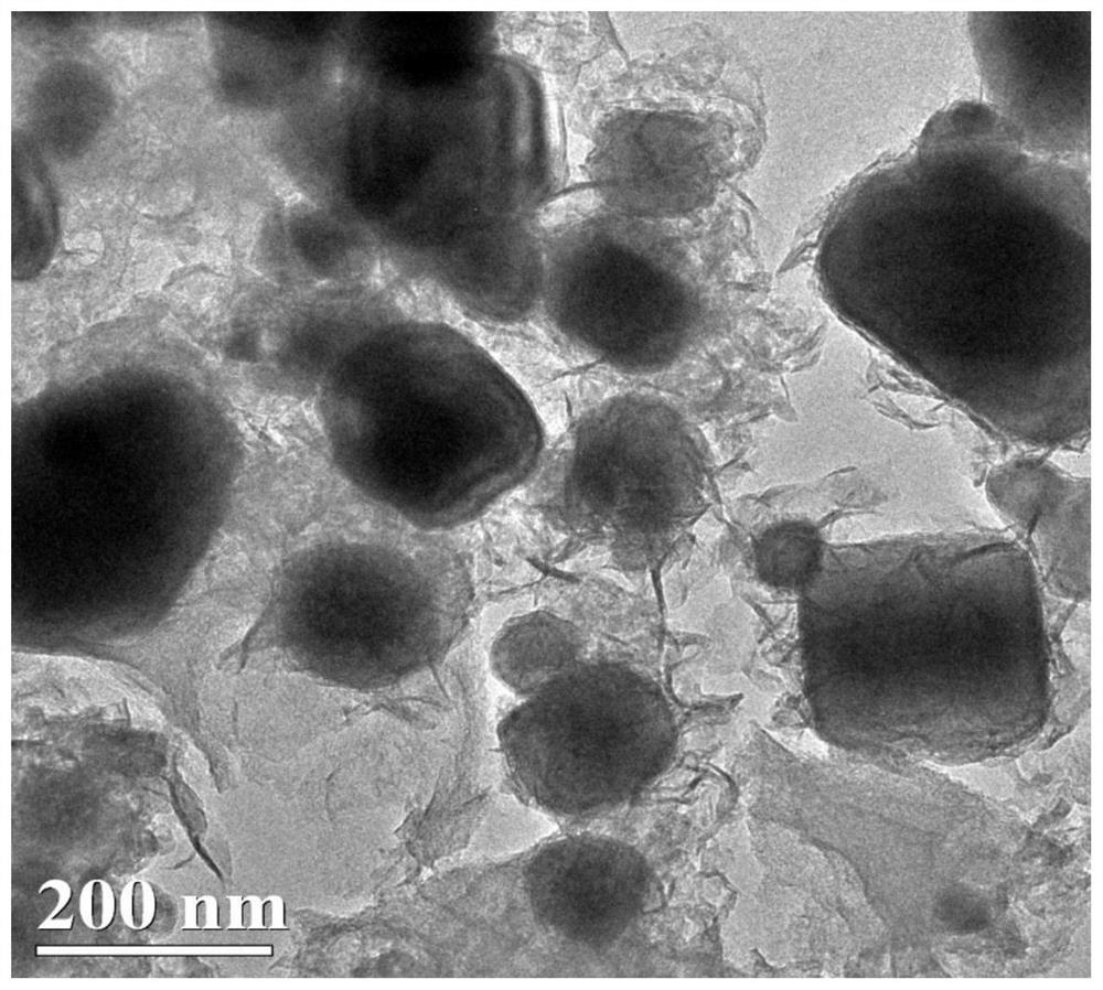 Preparation method of a transition metal-nitrogen co-doped carbon material oxygen reduction/oxygen evolution bifunctional catalyst