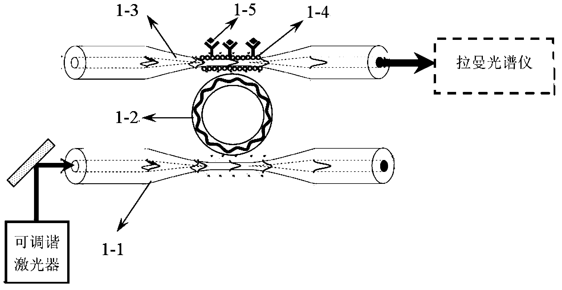 Near-field Raman biosensor based on echo wall mode