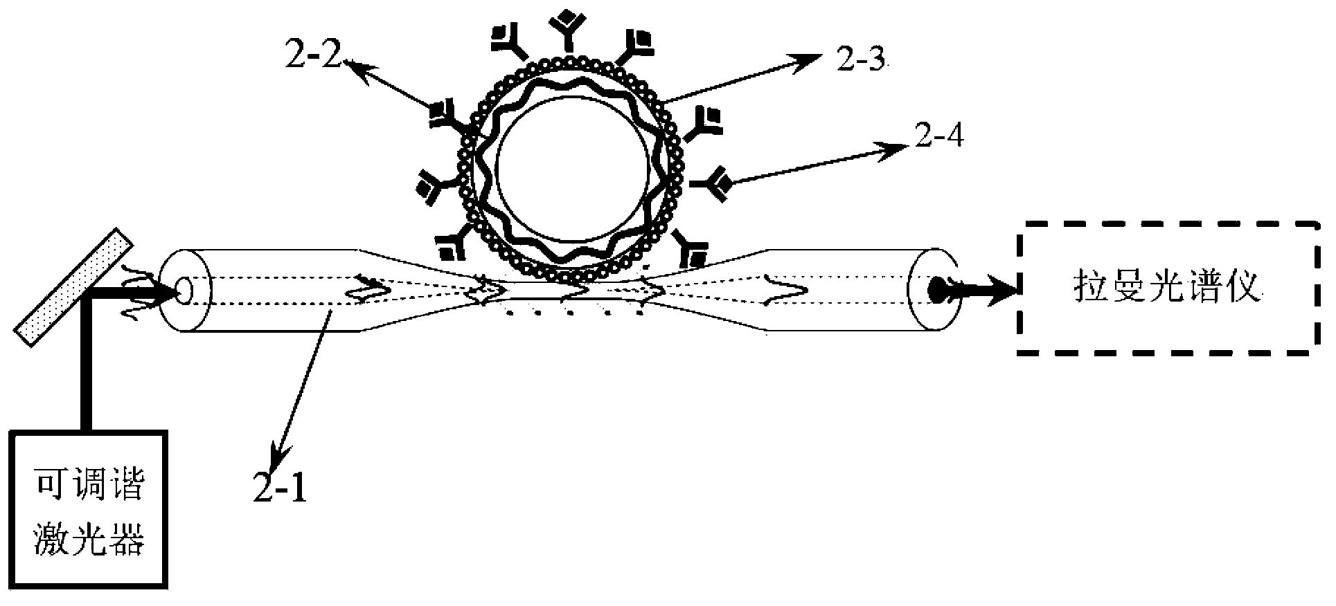 Near-field Raman biosensor based on echo wall mode