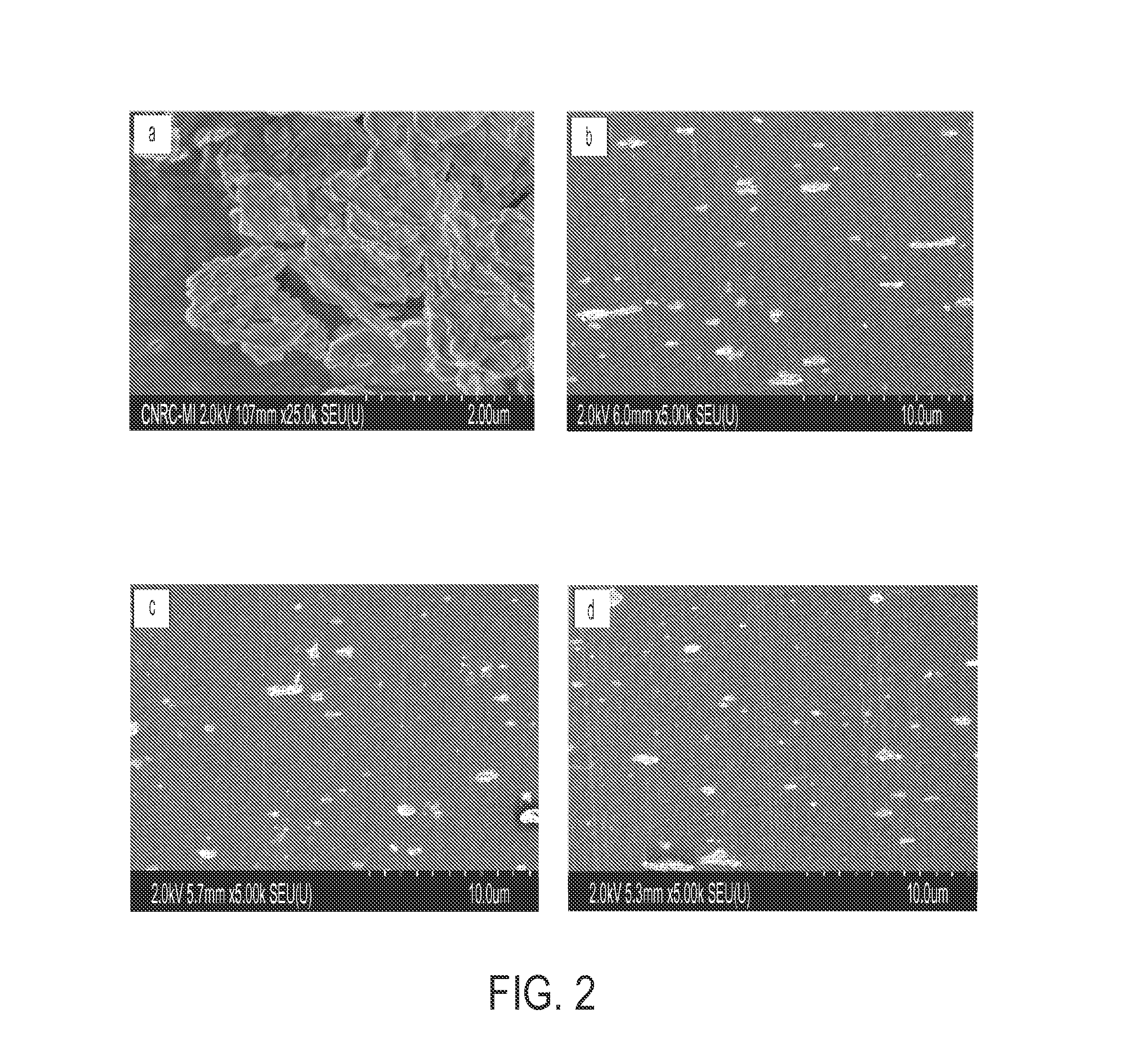 Pet nanocomposite materials and containers prepared therefrom