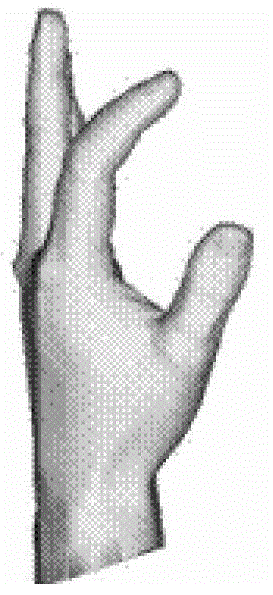 A 3D Simulation Method of Hand Movement Based on Dual Quaternions