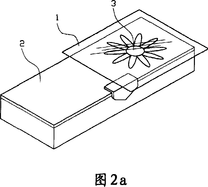 Sterilized micro nano-silver film having nonpoisonous and the process thereof