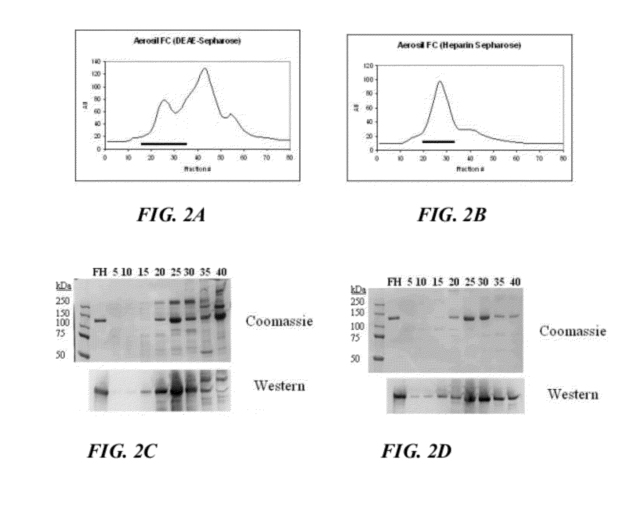 Manufacture of factor H (FH) and FH-derivatives from plasma