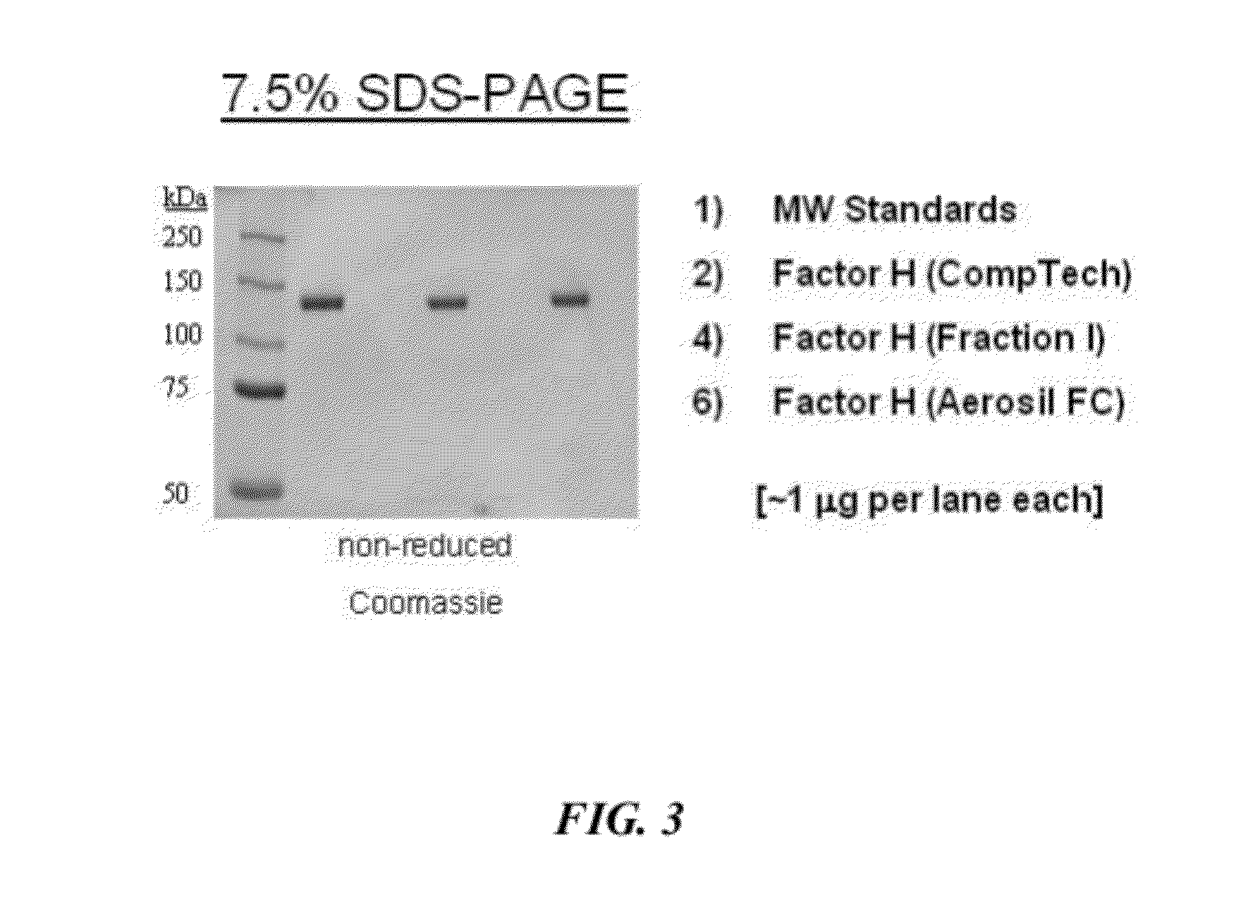 Manufacture of factor H (FH) and FH-derivatives from plasma