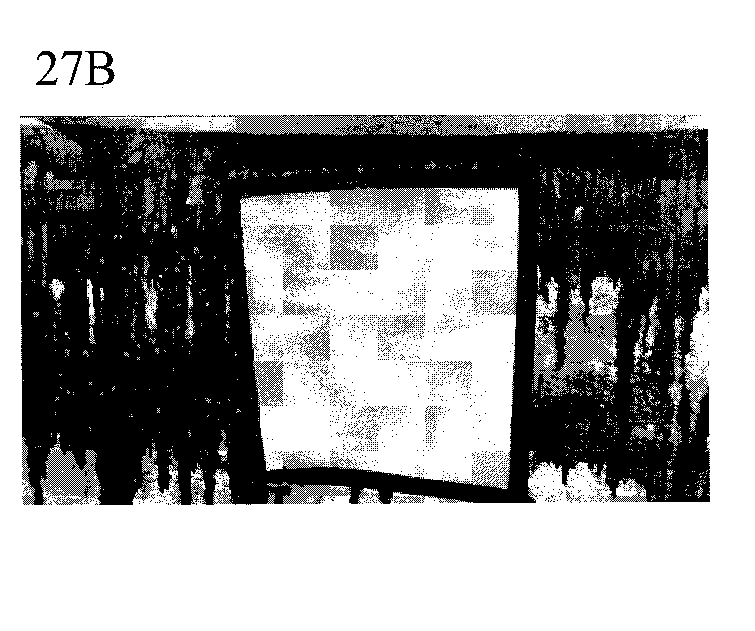 Compositions and methods for oil spill remediation