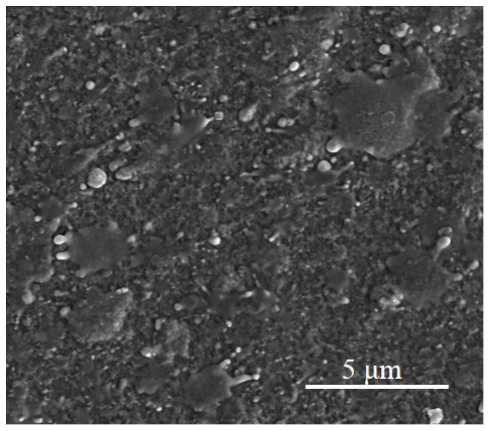 NiAl/AlSiON multi-layer composite coating resistant to high-temperature oxidation and preparation method of NiAl/AlSiON multi-layer composite coating