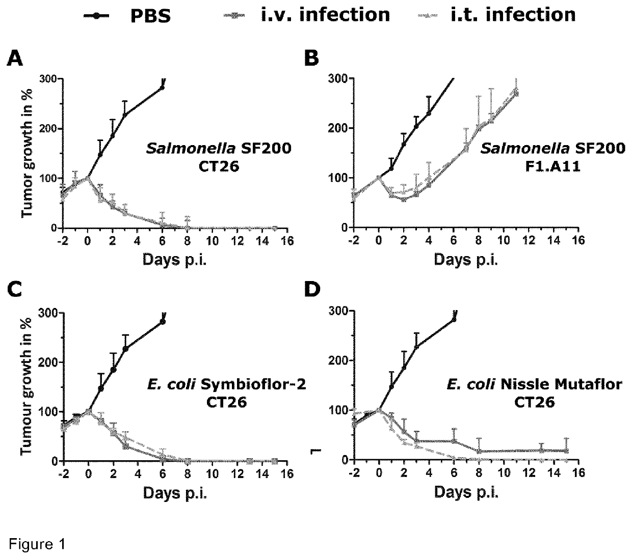 Salmonella and immunogenic compostition containing the same as we as its use