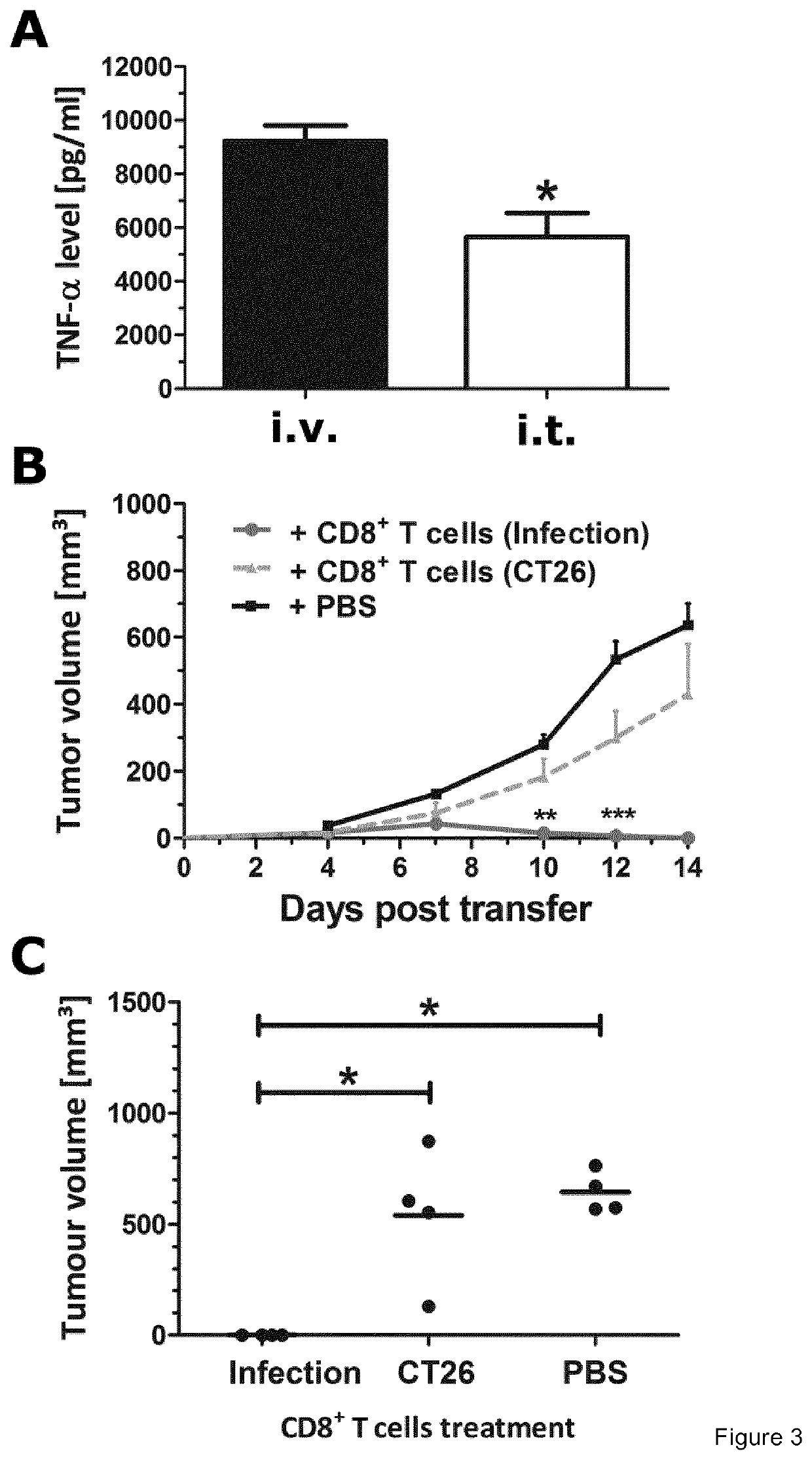 Salmonella and immunogenic compostition containing the same as we as its use