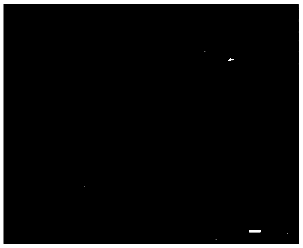 A kind of polymer composite film and preparation method thereof and lithium ion battery