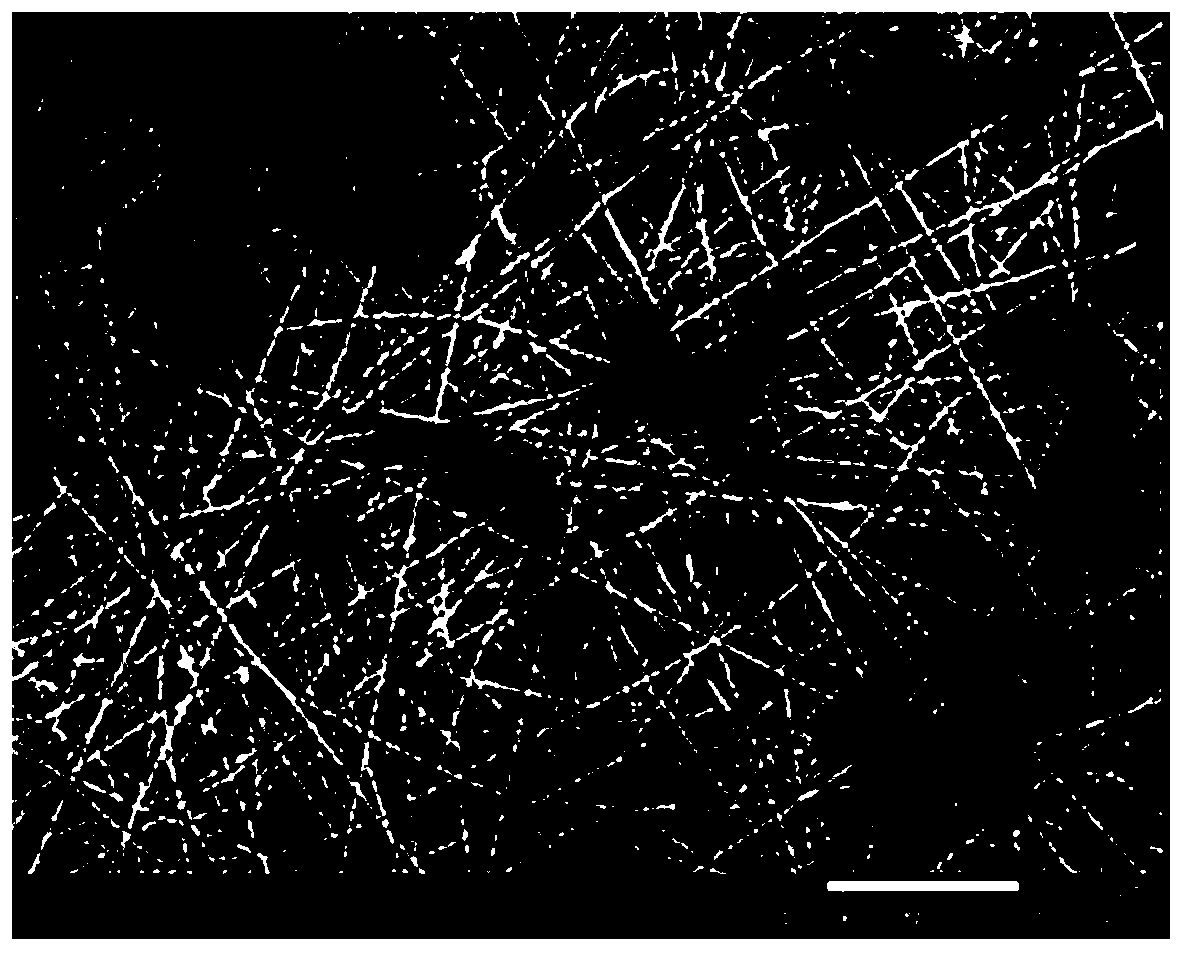 A kind of polymer composite film and preparation method thereof and lithium ion battery