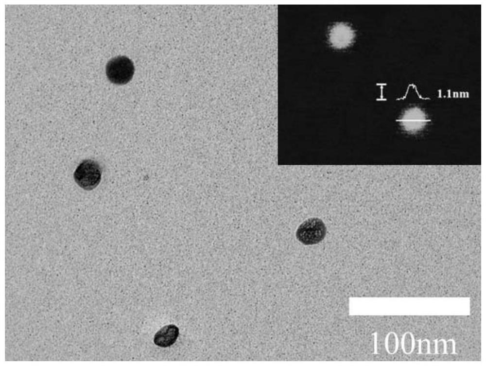 Two-dimensional Janus nano material and preparation method thereof