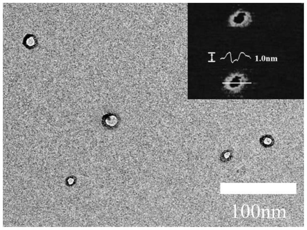 Two-dimensional Janus nano material and preparation method thereof