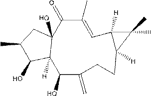 Preparation method of lathyrol