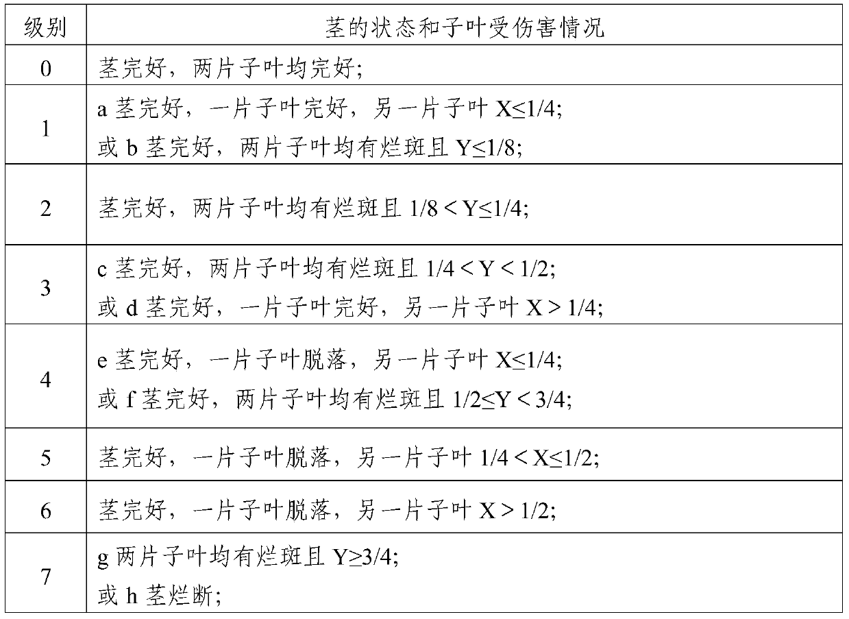 A kind of cotton cotyledon stage cold resistance identification method