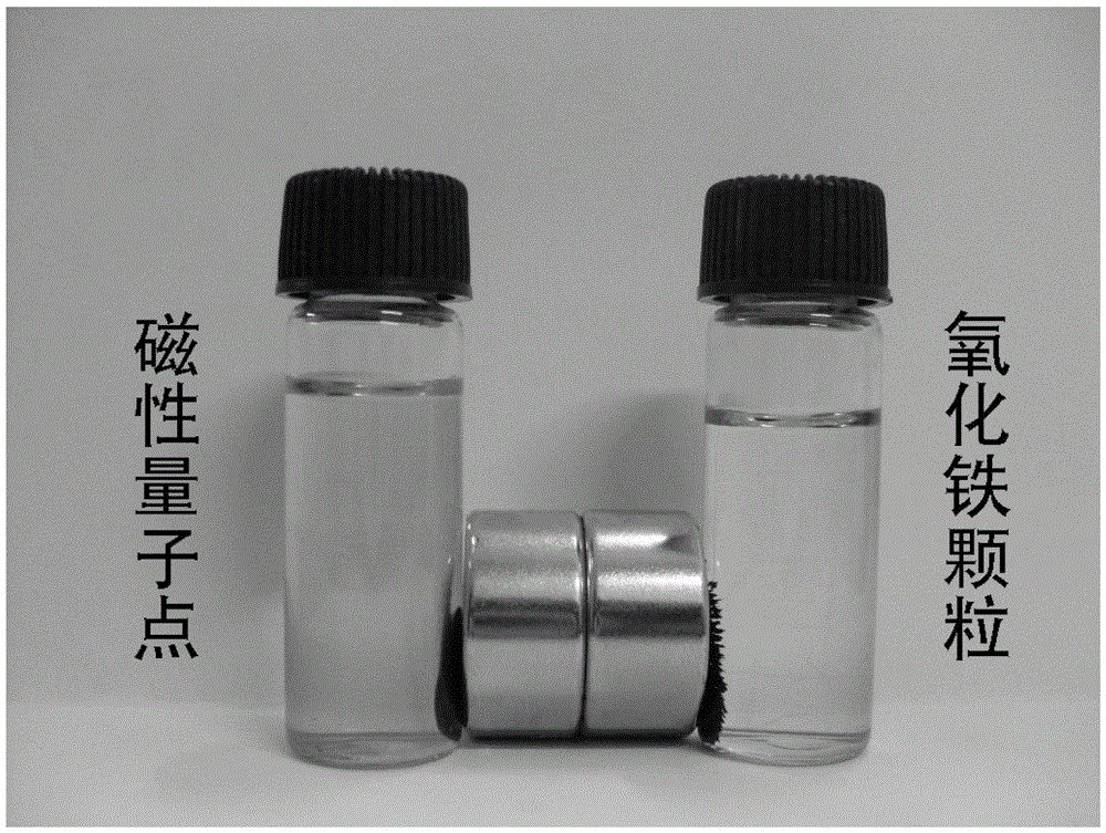 Core-shell magnetic quantum dot nanoparticles and preparation method thereof