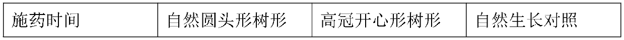 Litchi high open-center shape crown and culture method thereof