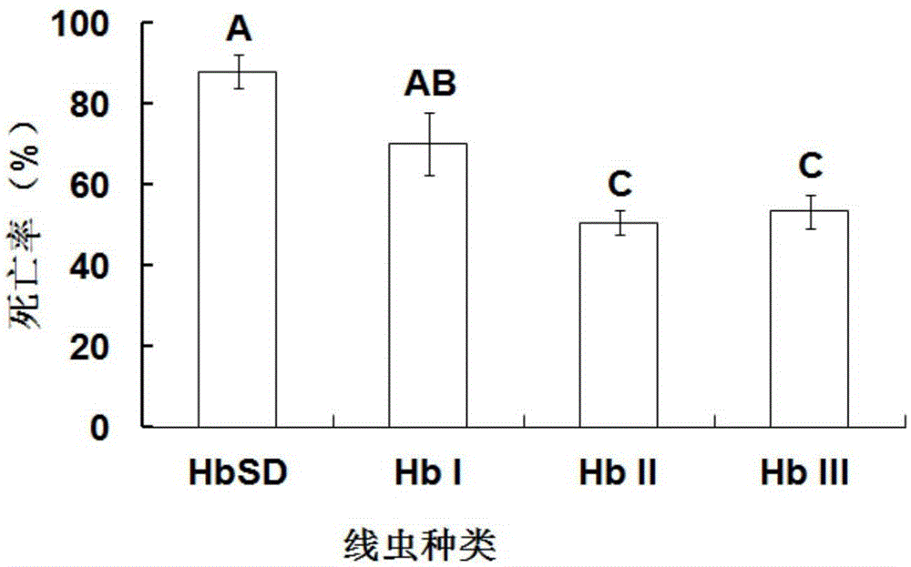 Entomopathogenic nematode HbSD and insecticide thereof, preparation method and application