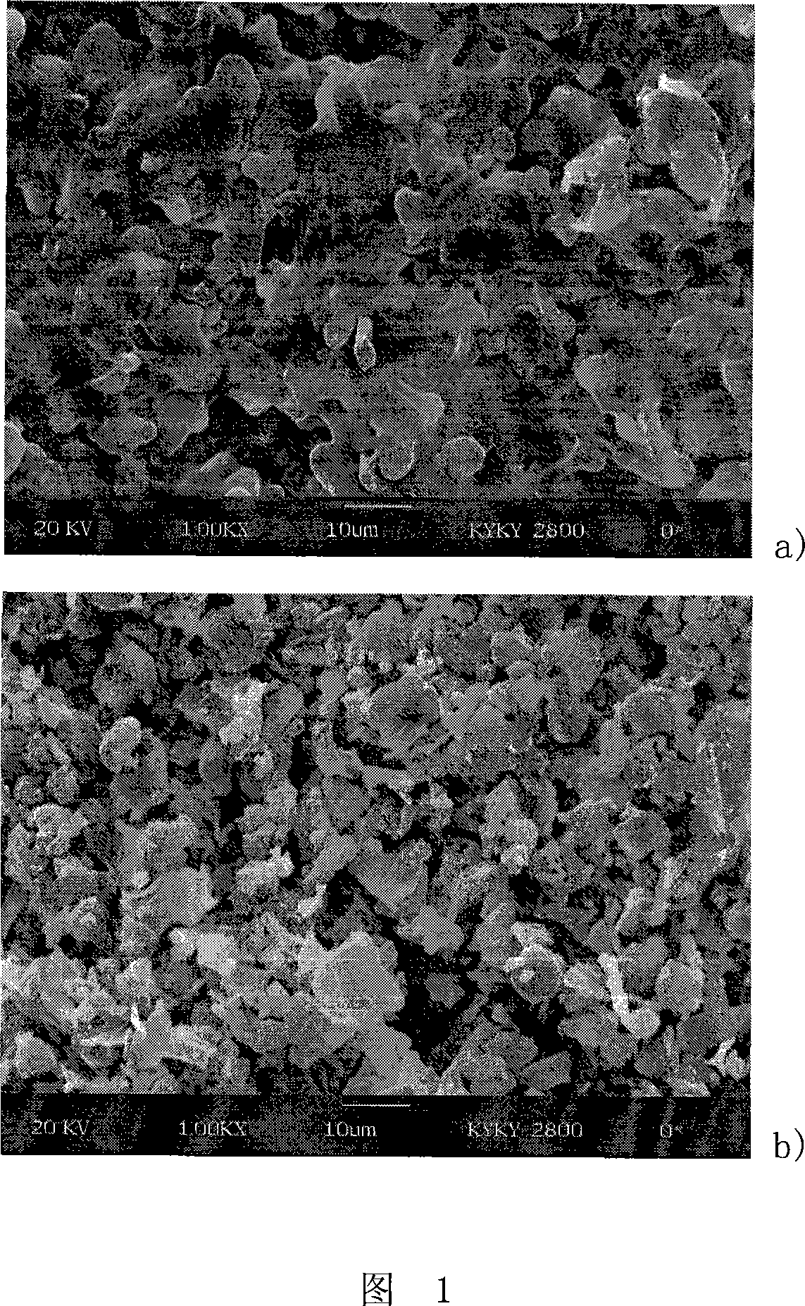 Ultrasonic-assisted method for extracting flax-seed oil