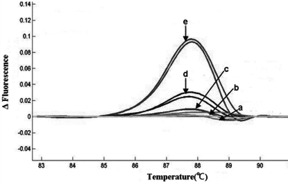 Method for detecting FOXH1 gene SNP locus rs750472 genotype