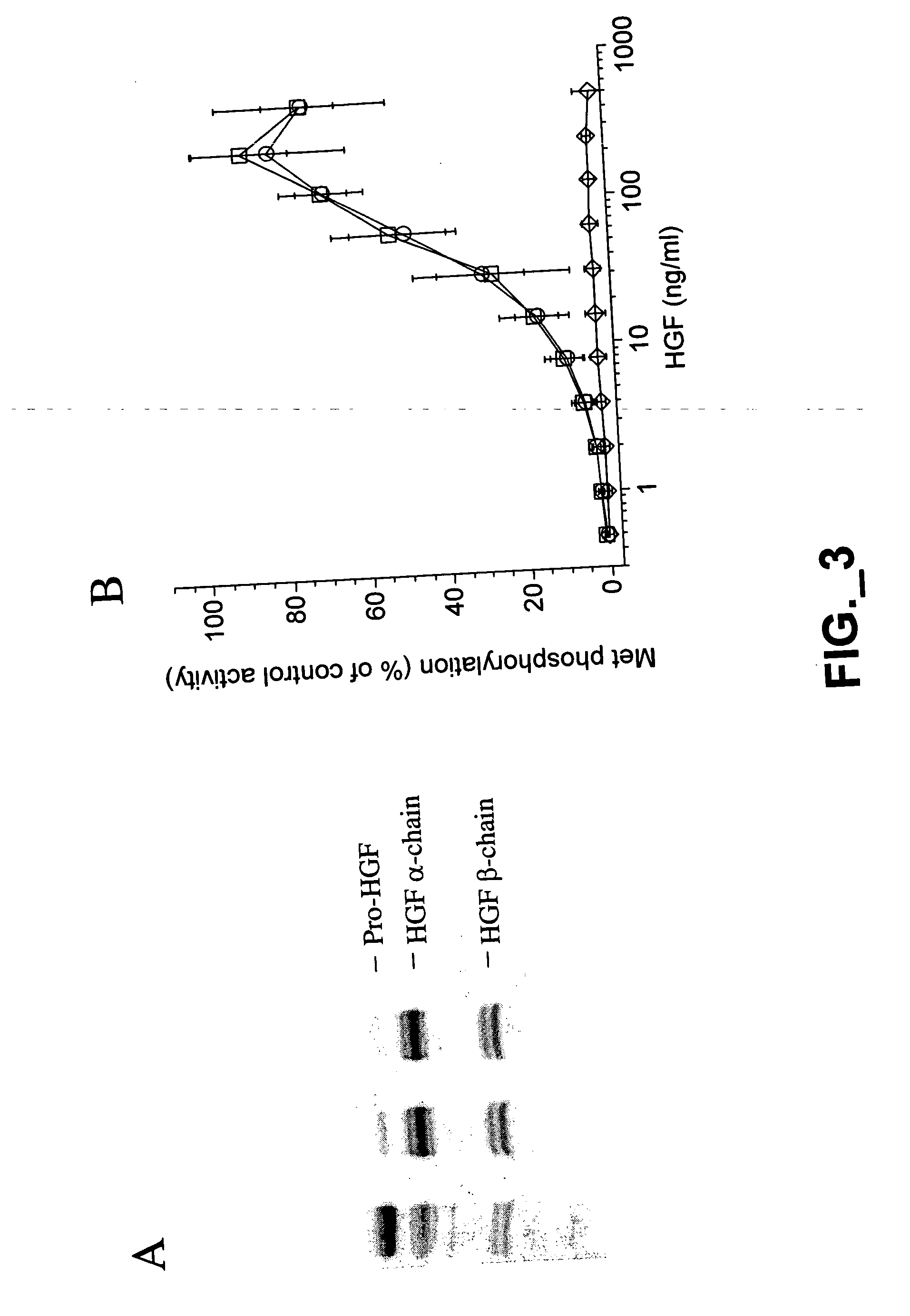 Methods and compositions for modulating hepatocyte growth factor activation