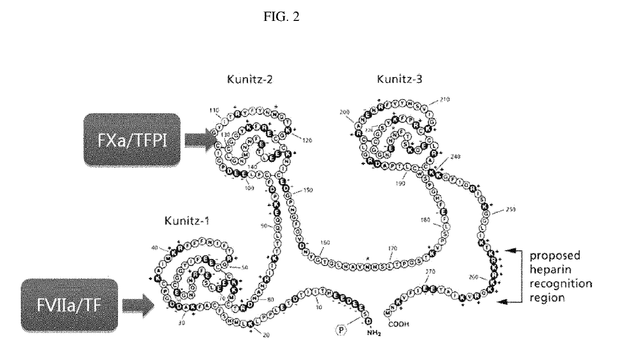 Antibody binding to TFPI and composition comprising the same