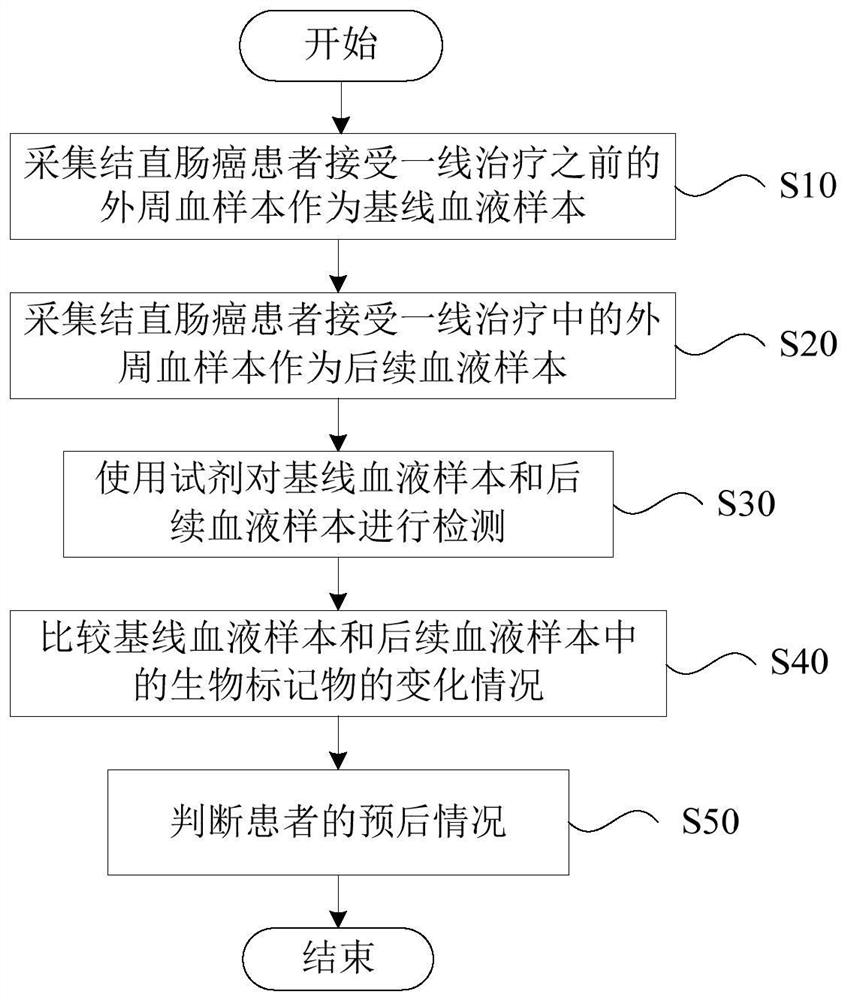 Application of biomarker in preparation of reagent for predicting prognosis of colorectal cancer patient