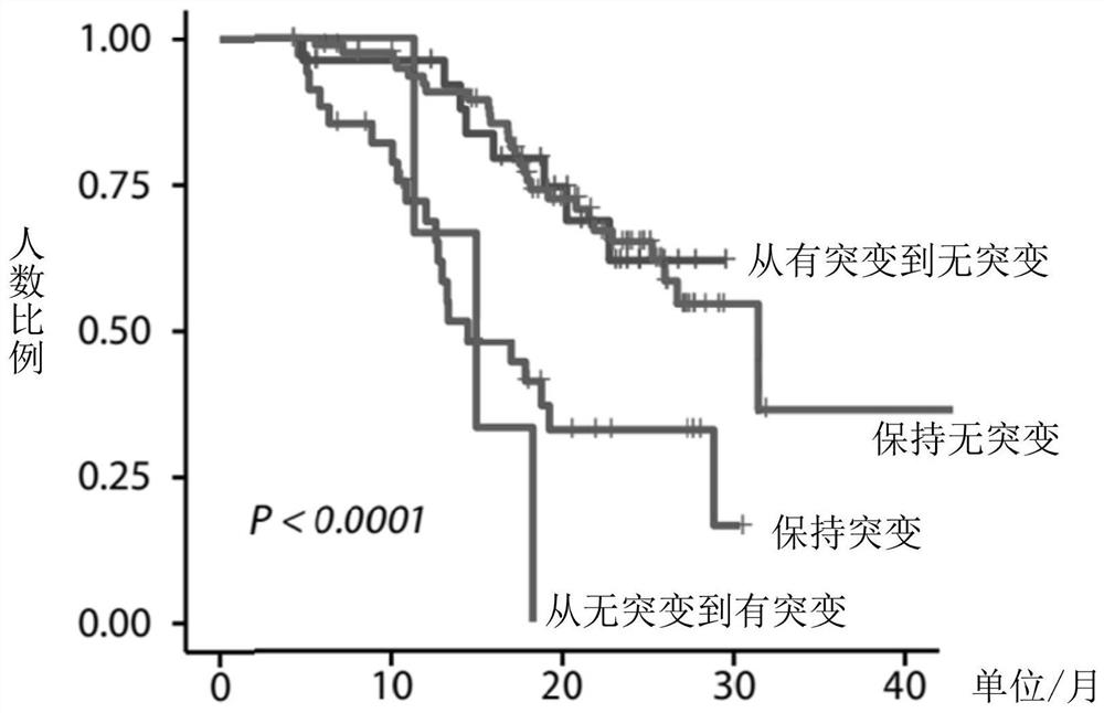 Application of biomarker in preparation of reagent for predicting prognosis of colorectal cancer patient