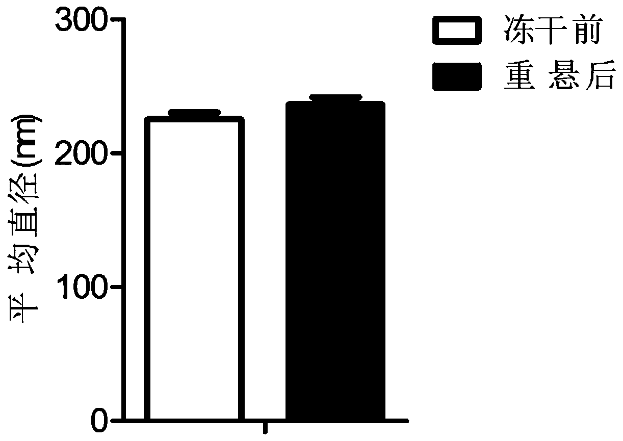 Functional chimeric apoptotic body, and preparation method and application thereof