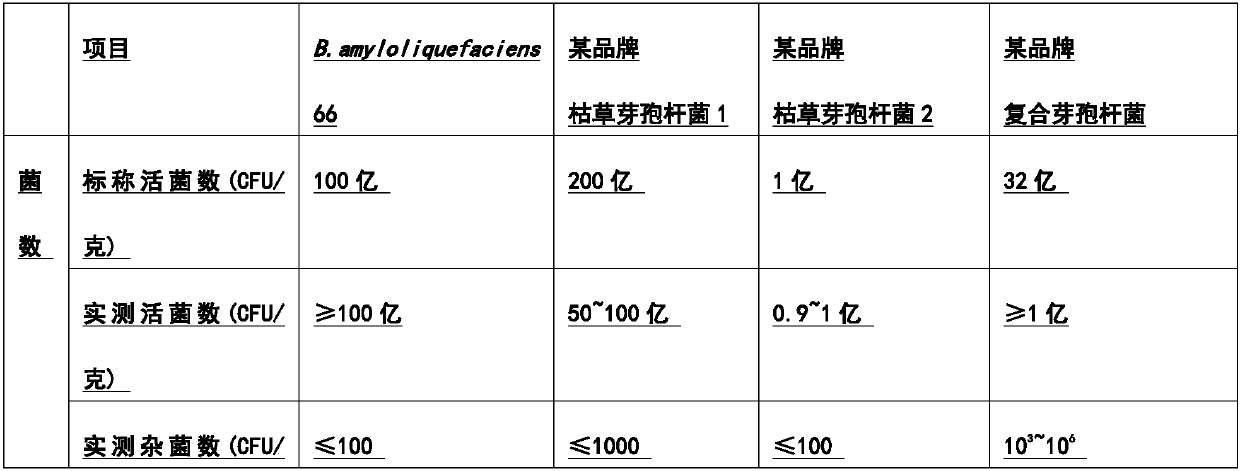 Fructan-high-yielding bacillus amyloliquefaciens and application thereof