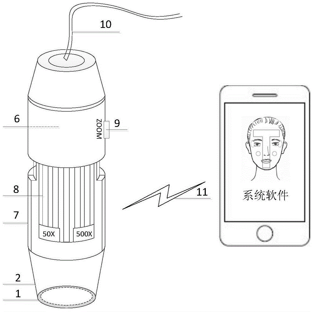 Mobile internet terminal-oriented skin or hair detection and care system