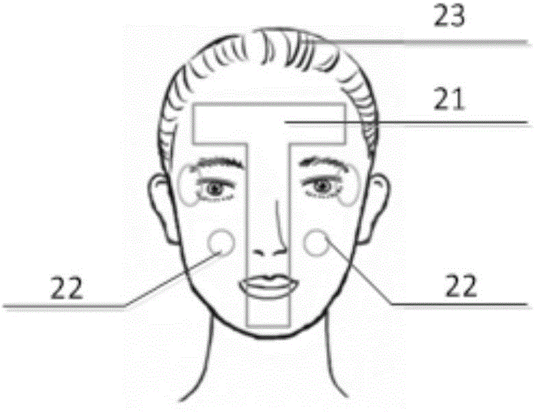 Mobile internet terminal-oriented skin or hair detection and care system