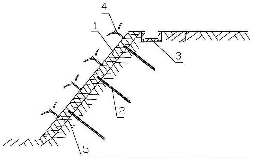 Vegetation concrete protection slope and construction method thereof