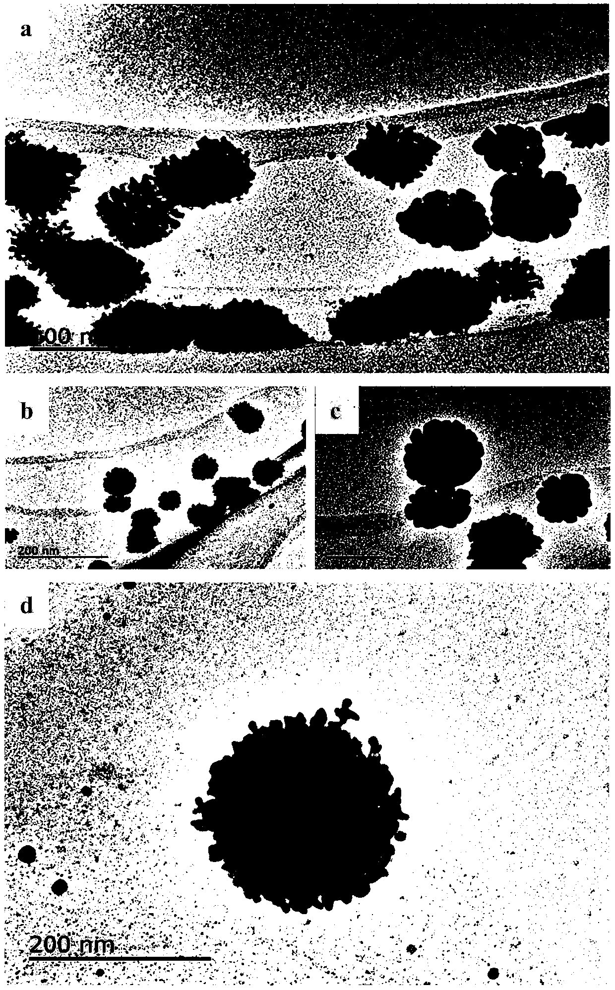 Method for simultaneously preparing porous gold nano particles and hexagonal gold nano sheets