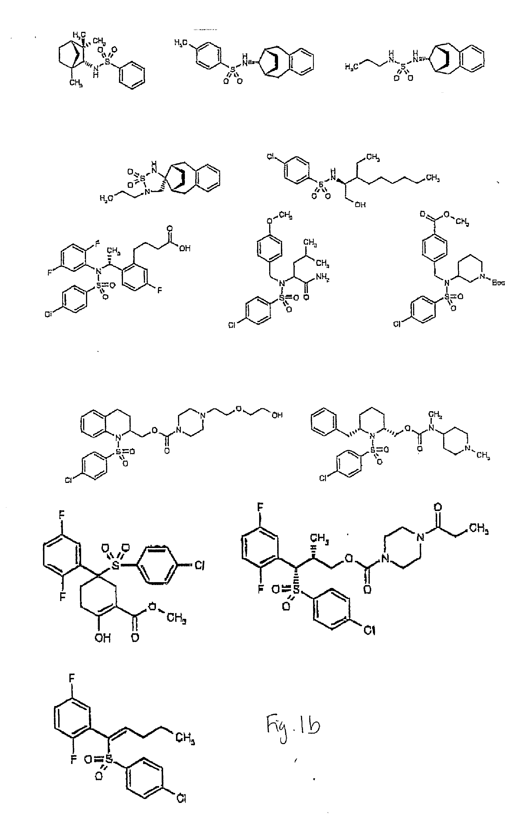 Compounds and Methods for Promoting Angiogenesis