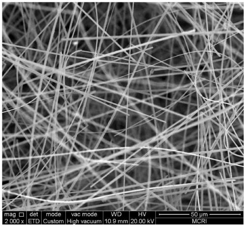 Silicon nitride nanoribbon aerogel and preparation method thereof
