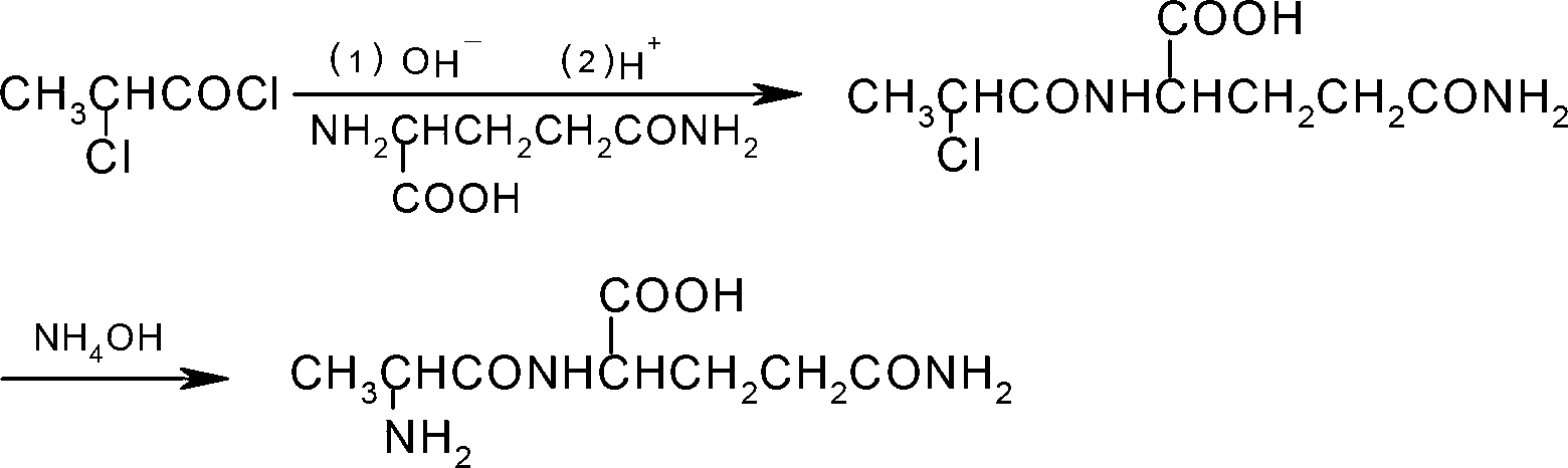 Preparation method of N(2)-L-alanyl-L-glutamine