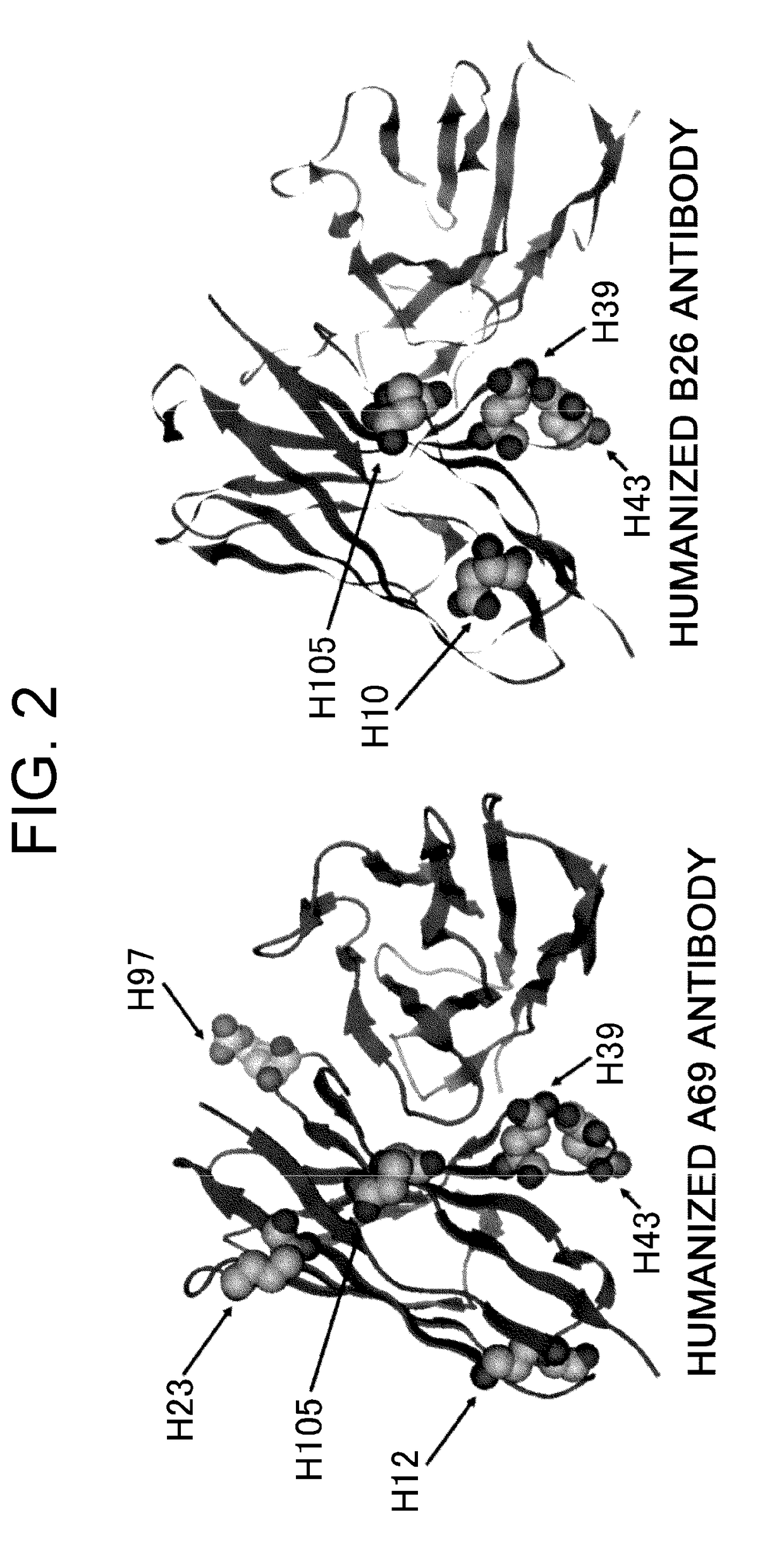 Methods of modifying antibodies for purification of bispecific antibodies