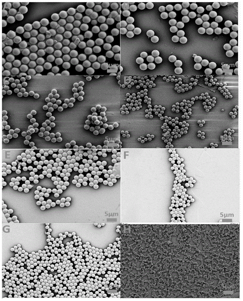 Magnetic fluorescent Raman double-encoding composite microspheres and preparation method and application thereof