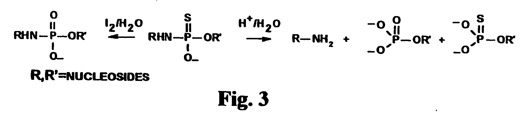 Oligonucleotide N3'-P5' thiophosphoramidates: their synthesis and use