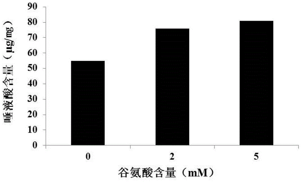 Optimized cell culture medium and cell culture method, and application of optimized cell culture medium and cell culture method to preparation of protein and antibody