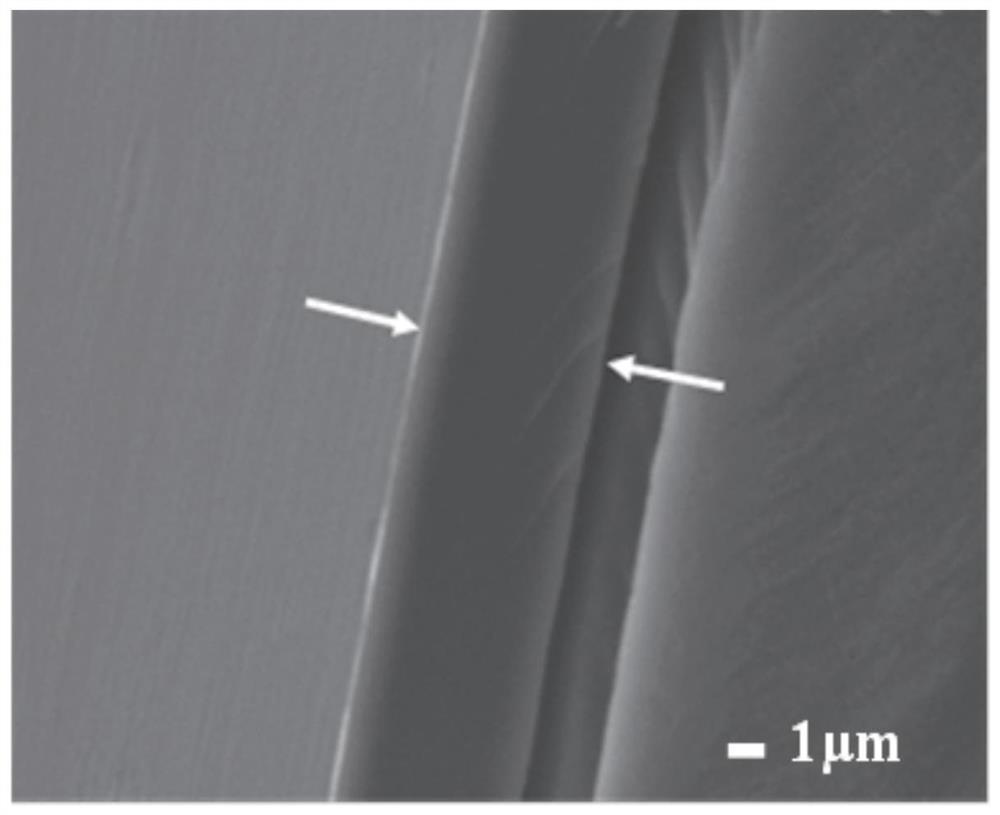 Application of non-release type antimicrobial adhesion coating in antibacterial packaging material