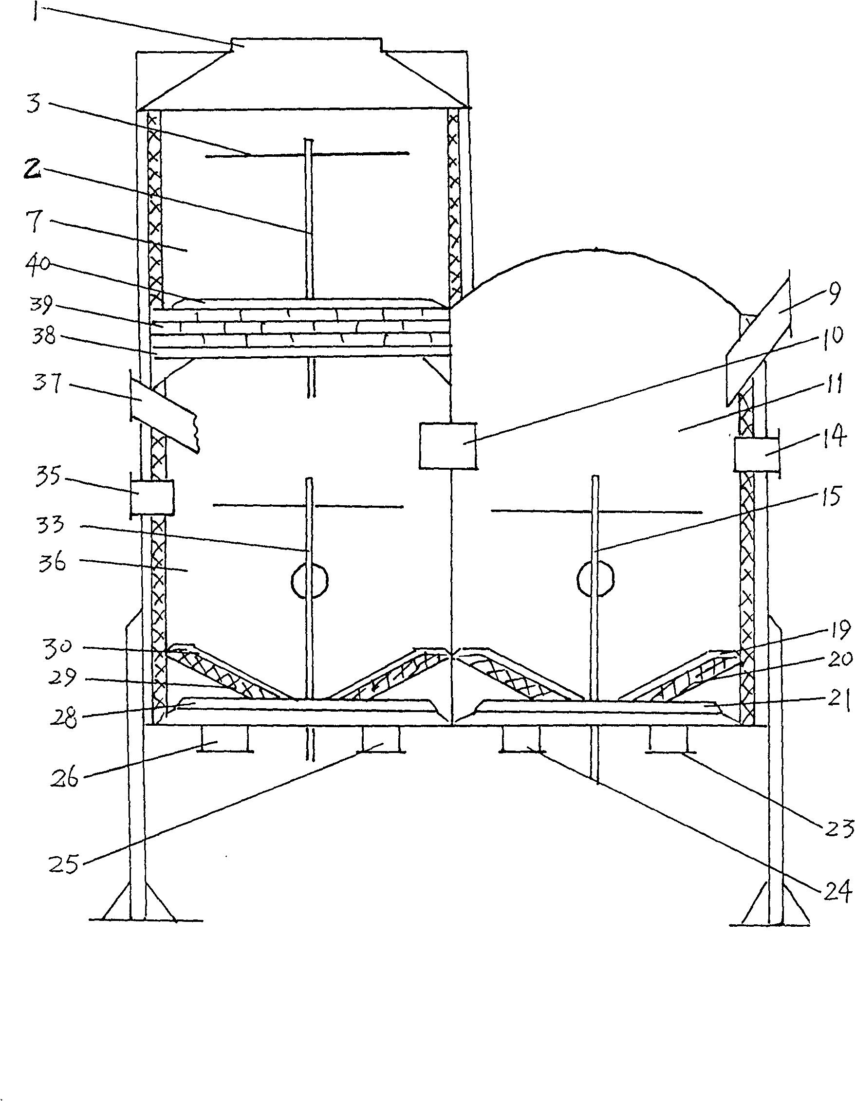 Normalizing and back run biomass gas-carbon cogeneration producer and gas-carbon cogeneration method