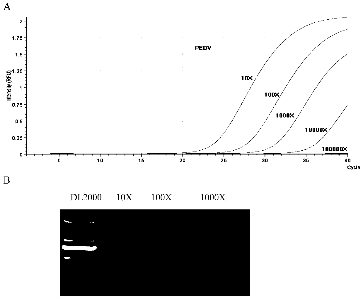 Method for detecting porcine epidemic diarrhea virus and B-type porcine enterovirus by using double real-time fluorescene quantification RT-PCR