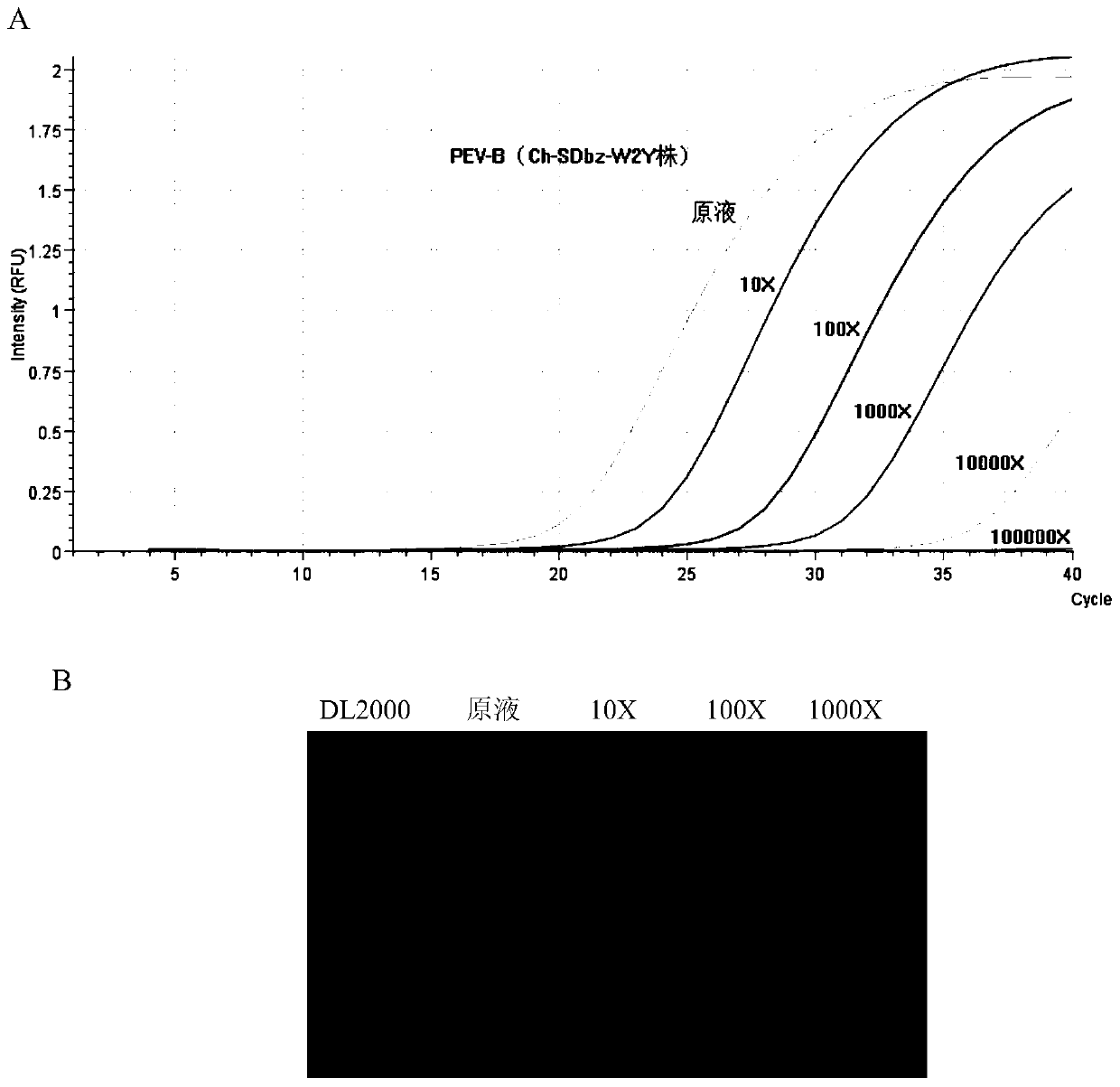 Method for detecting porcine epidemic diarrhea virus and B-type porcine enterovirus by using double real-time fluorescene quantification RT-PCR