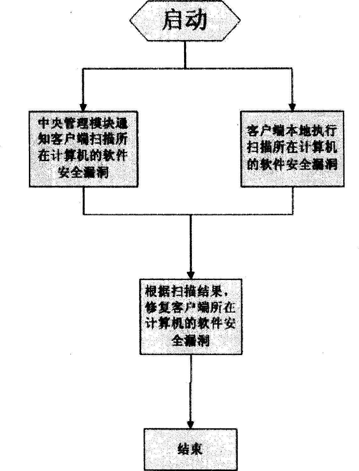 Computer software security loophole repairing apparatus and method
