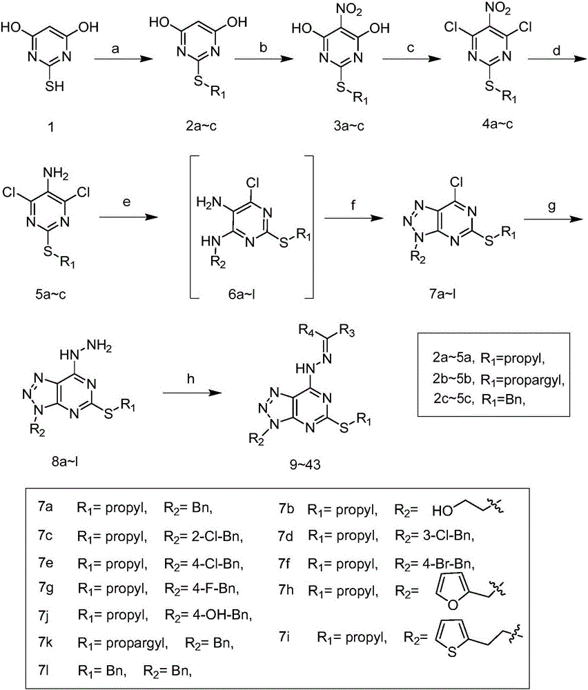 Pyrimidotriazole compounds containing hydrazone bonds as well as preparation method and application of pyrimidotriazole compounds