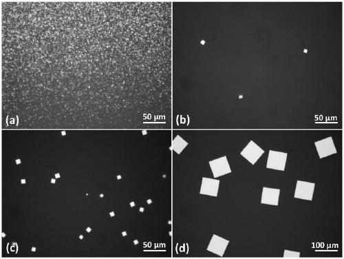 Preparation method and application of two-dimensional lead telluride nano sheet and nano material